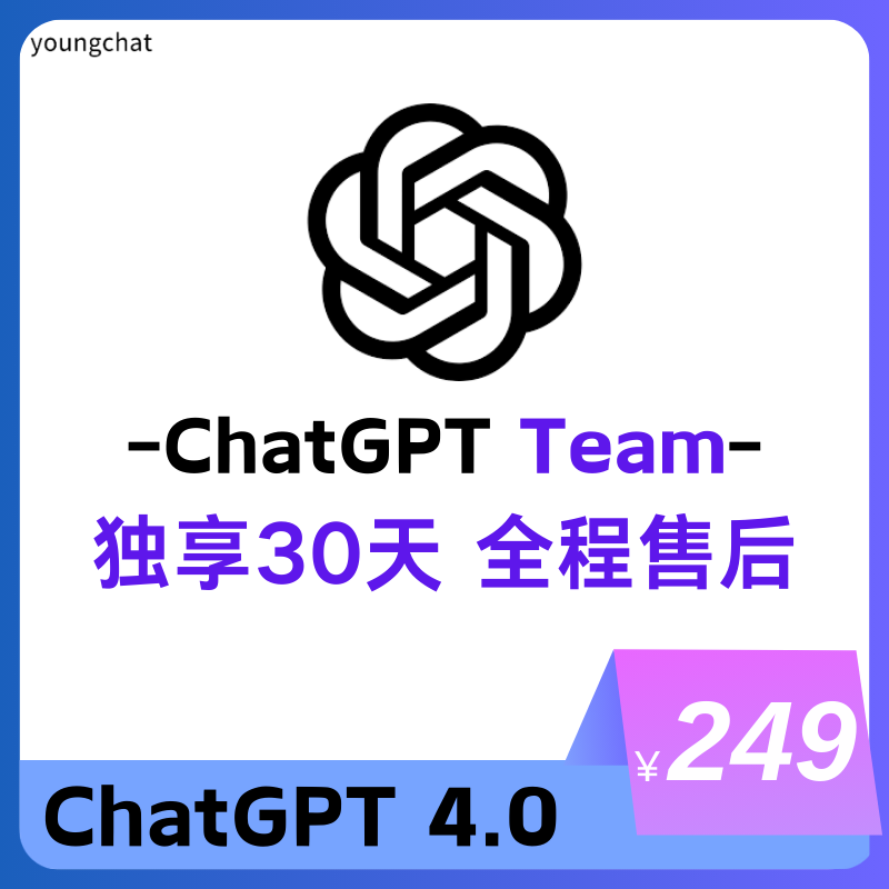 【独享】ChatGPT团队版Team独享账号 | 最新上线全网首发 | 全程质保