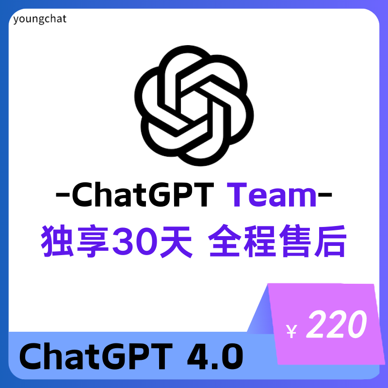 【独享】ChatGPT团队版Team独享账号 | 最新上线全网首发 | 全程质保